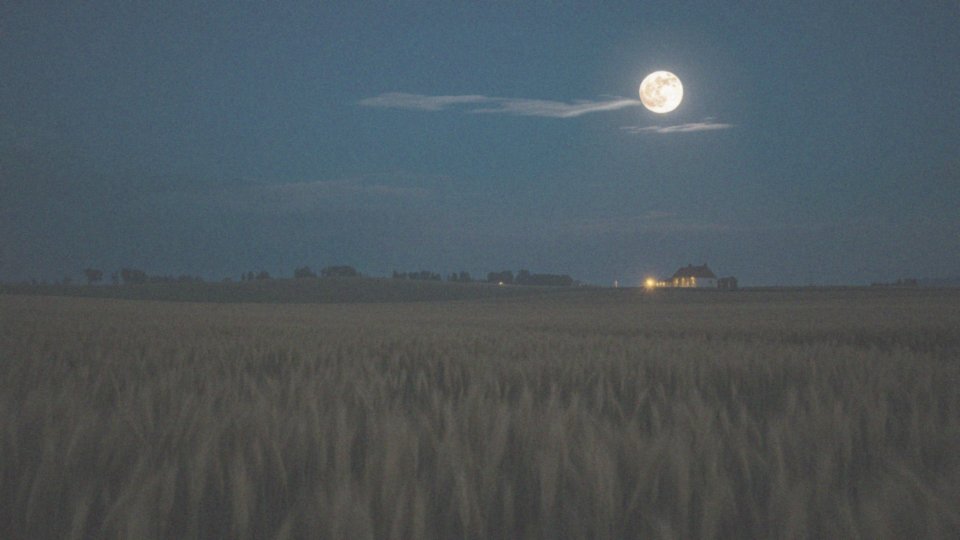Co to jest lunacja?