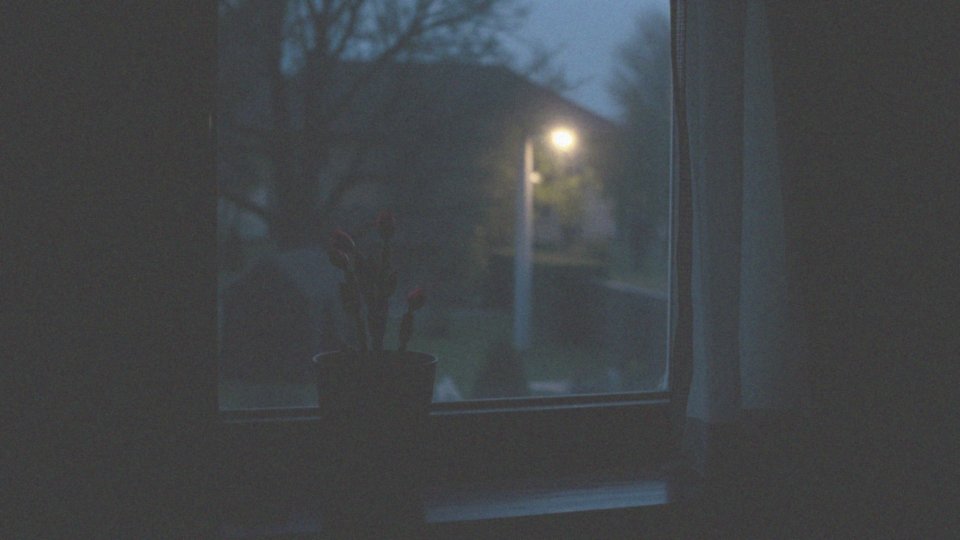 Jakie znaczenie ma ciemność dla kwitnienia grudnika?