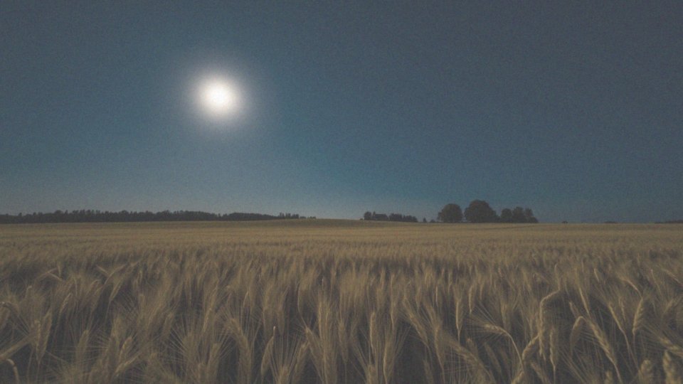 Jaki jest średni cykl księżycowy?