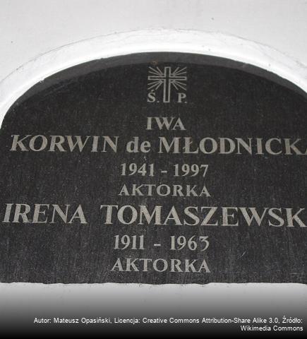 Iwa Młodnicka