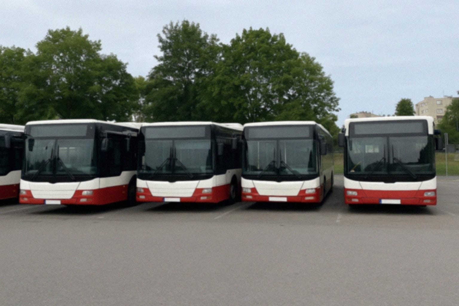 Mobilne galerie w autobusach – sukces akcji „Kultura – nie boli”