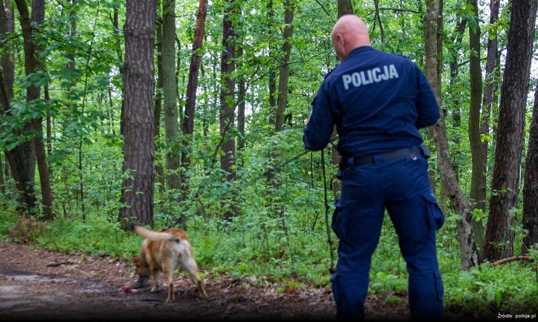 Trwa poszukiwanie 16-letniej Mileny Nowak z Częstochowy