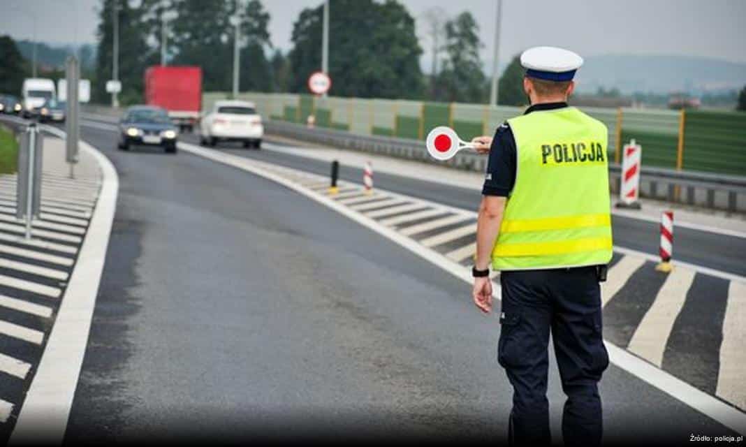 Apel do mieszkańców Częstochowy: Stop wypalaniu traw!