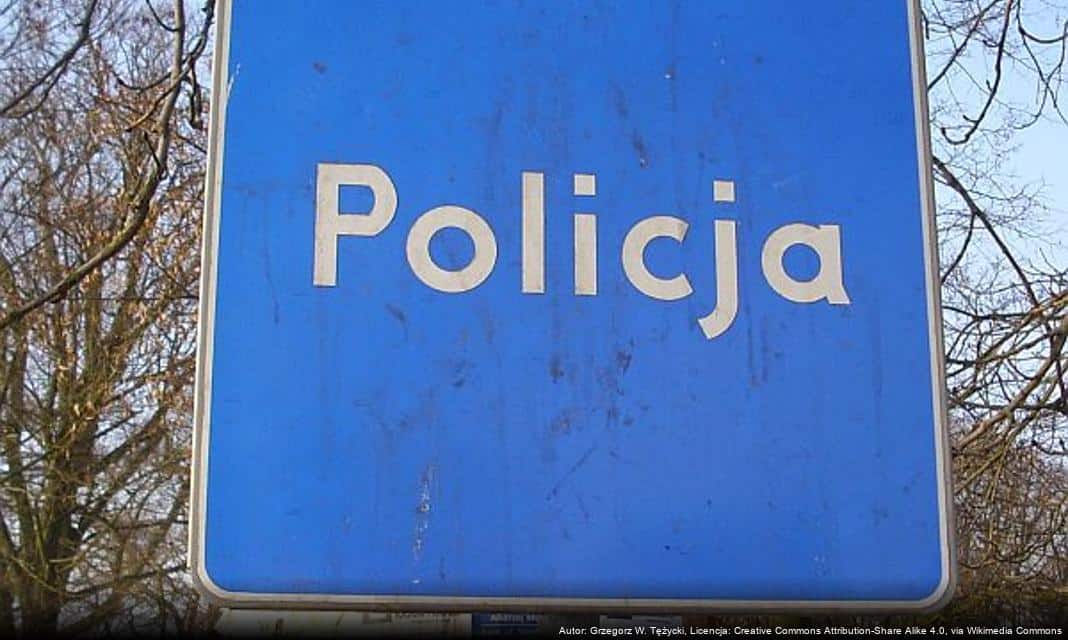 Policja apeluje o pomoc w identyfikacji sprawcy uszkodzenia ciała dziecka